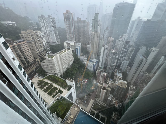 방에서 즐기는 홍콩 야경, 가족여행에 딱 맞는 호텔🏙️