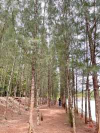 เหมืองหินทับปุด ถ้ำทองหลาง พังงา ⛰️