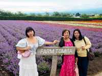 Farm Tomita Hokkaido