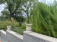 🌿 Discover Shanghai Botanical Garden: A Peaceful Green Escape in the City