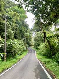 Hiking Cameron Highlands: Trails, Waterfalls & Panoramic Views