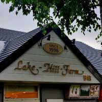 Lake Hill Farm: The Must-Try Ice Cream Spot in Toyako 🙌🍦