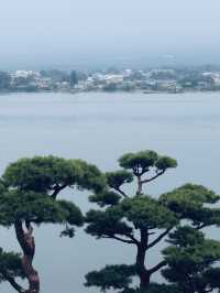 夏天富士山東京週末行程🗻