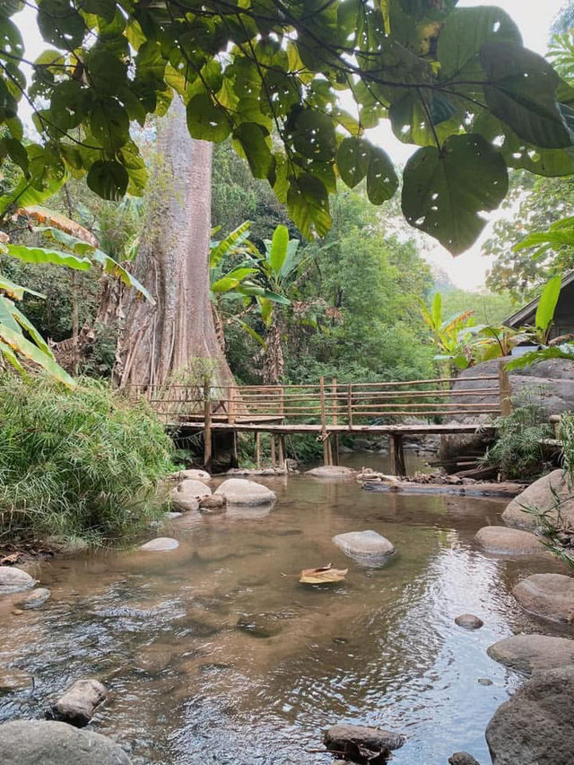 Baan Tharn Klom 🌲