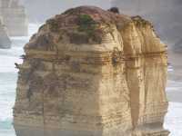  🌊【墨爾本必去】Twelve Apostles：大自然雕出嚟嘅奇蹟！