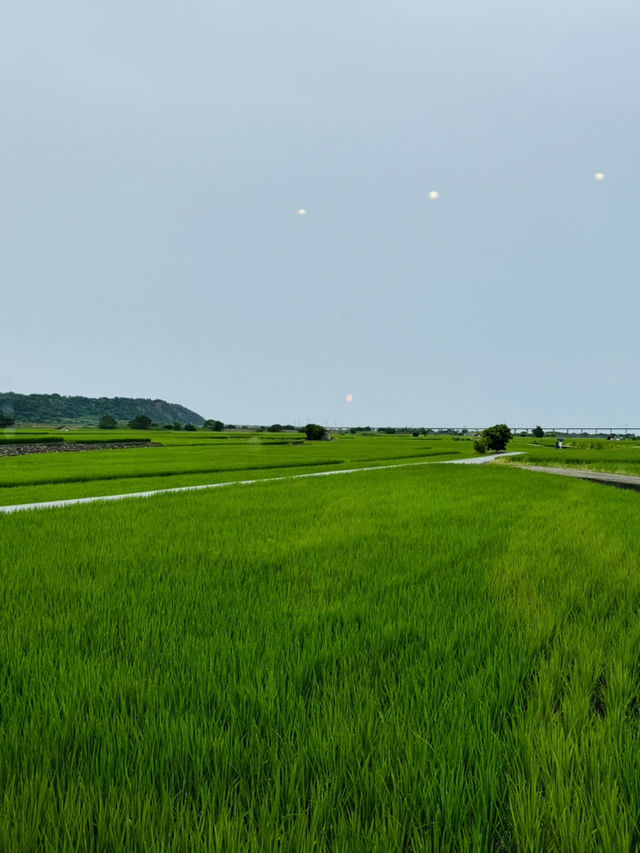 蜜境 蜜境