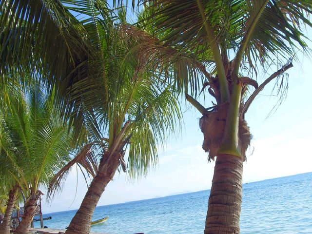 Sunsets, Snorkels & Serenity: A Slice of Paradise in Pulau Perhentian