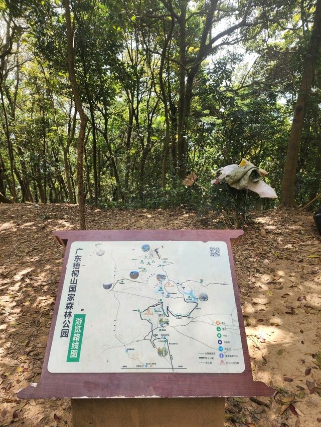 深圳梧桐山慢活行⛰️最強登山路線/打卡景點/交通懶人包✨ 深圳梧桐山慢活行⛰️最強登山路線/打卡景點/交通懶人包✨