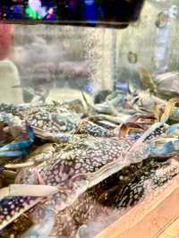 八「鮮」過海 超滿足一大桌海鮮火鍋