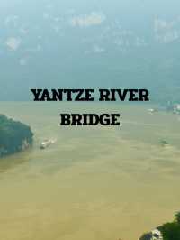 YANTZE RIVER BRIDGE TFIP