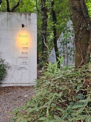 การใช้ชีวิตกับป่า: กลุ่มป่าในหมู่บ้านนิชิฮาระ อาโซะ