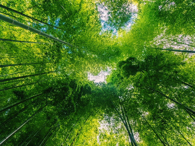 上海🇨🇳余山國家旅遊度假區