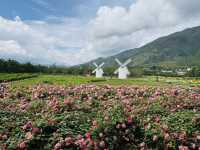	《必打卡！麗江最新網紅秘境「聽花谷」》