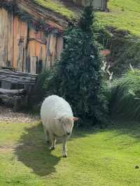 อาข่า ฟาร์มวิลล์ (Akha FarmVille)