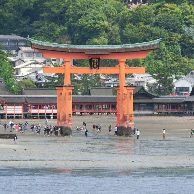 海中島居+海上神社+神之使者一在嚴島神社散策