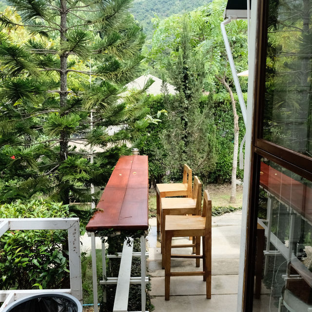 🌳 PARK COFFEE BAR Khaoyai — คาเฟ่ล้อมวิวป่า