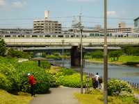 สวนสาธารณะวิวโตเกียวสกายทรี 🌳🇯🇵
