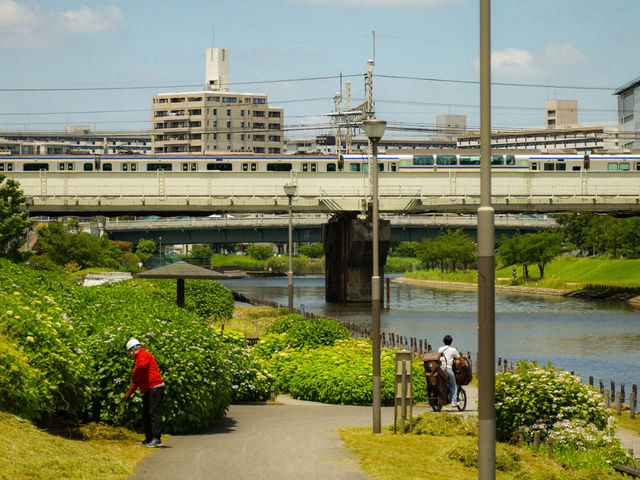 สวนสาธารณะวิวโตเกียวสกายทรี 🌳🇯🇵