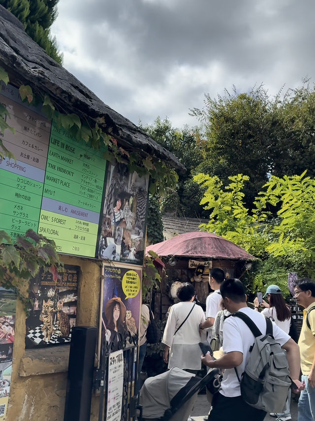 走進童話！由布院一日漫遊：金鱗湖霧景Ｘ湯之坪療癒散策。