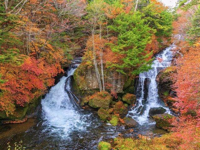 紅葉の定番🍁日本の有名観光スポット