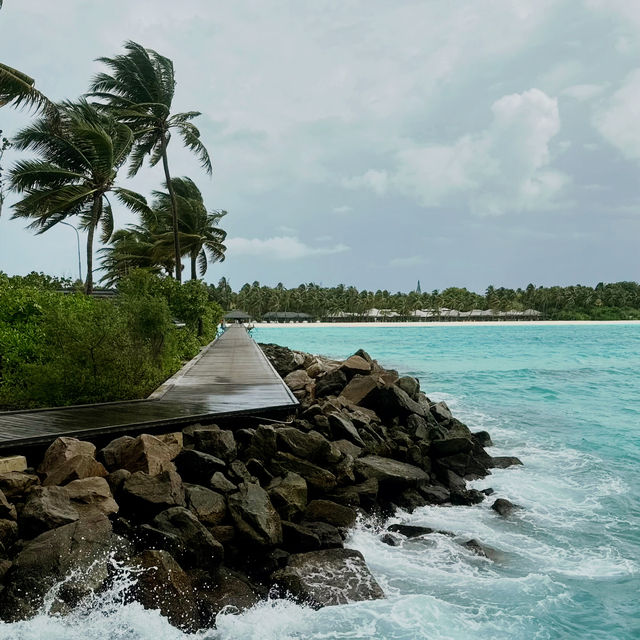 Tropical Ease, Timeless Escape