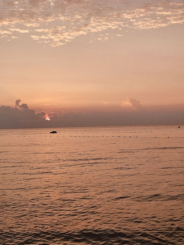 Jeju Beach Escape🌊