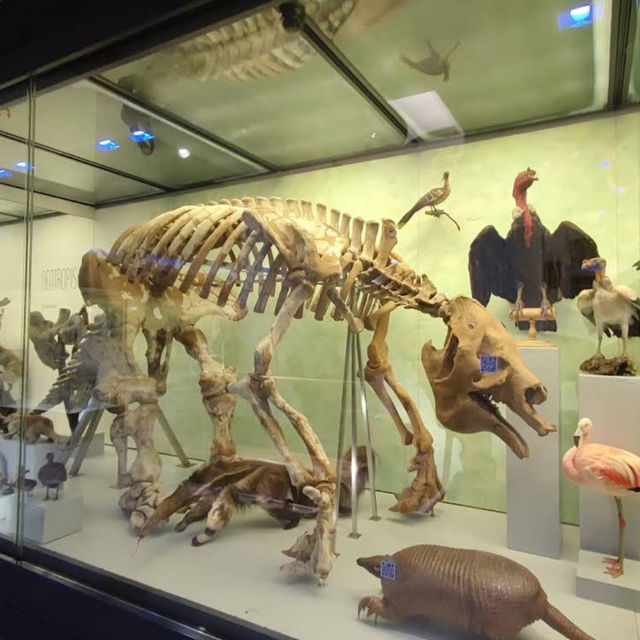 Natural History Museum of the University of Zurich: Where Science and Wonder Meet Natural History Museum of the University of Zurich: Where Science and Wonder Meet