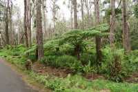 Alexandra Falls - Visit with Secretoo