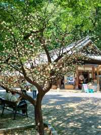 고요한 산사의 쉼터