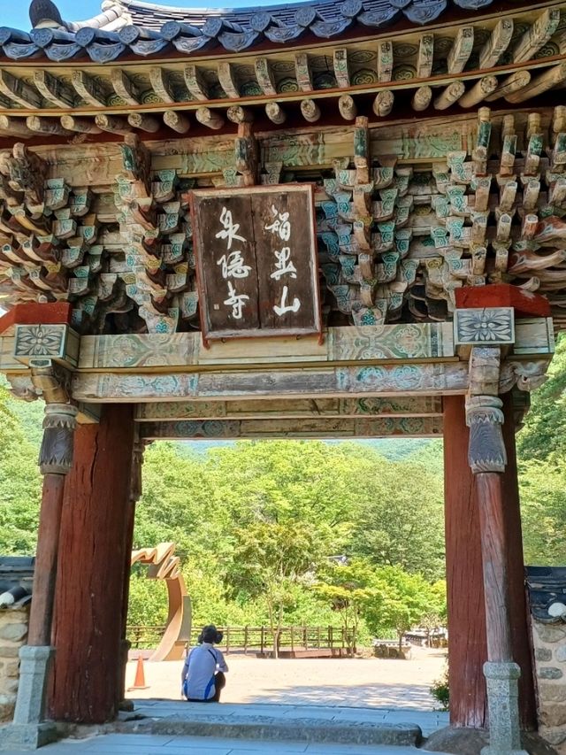 가족과 함께하는 힐링 사찰 나들이