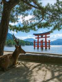 Miyajima Island