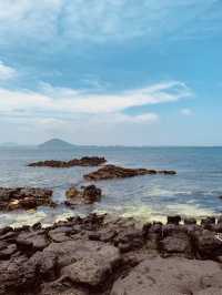 Korea's Rare Gem: The Coral Sand Miracle