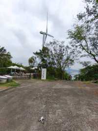 流動畫册下之【南丫島】份外浪漫又具詩意!