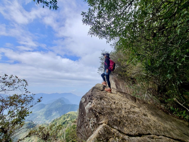 櫻花竹林秘境．石壁山壯麗之旅