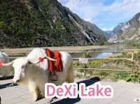 DeXi Lake