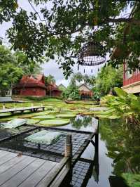 Lily Lake Escape🌿