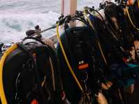 ดำน้ำลึกระยองกับ The Toy Dive Center