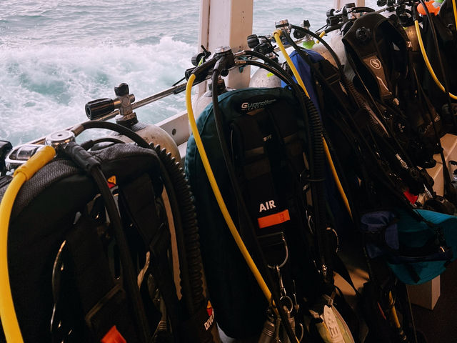 ดำน้ำลึกระยองกับ The Toy Dive Center ดำน้ำลึกระยองกับ The Toy Dive Center