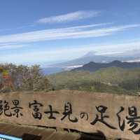 伊豆全景公園免費足湯、修善寺紅葉公園🍁