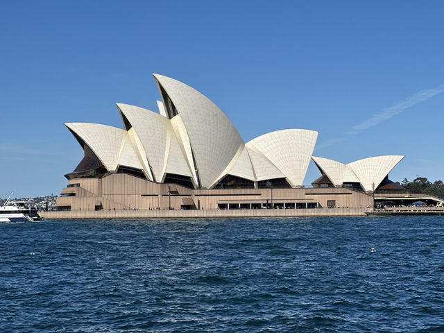 Sydney Signs Tripcom🏙️