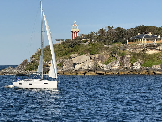 Sydney Signs Tripcom🏙️