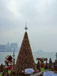 A Crystalline Dream in the Urban Heart: WestK Christmas Forest 2025