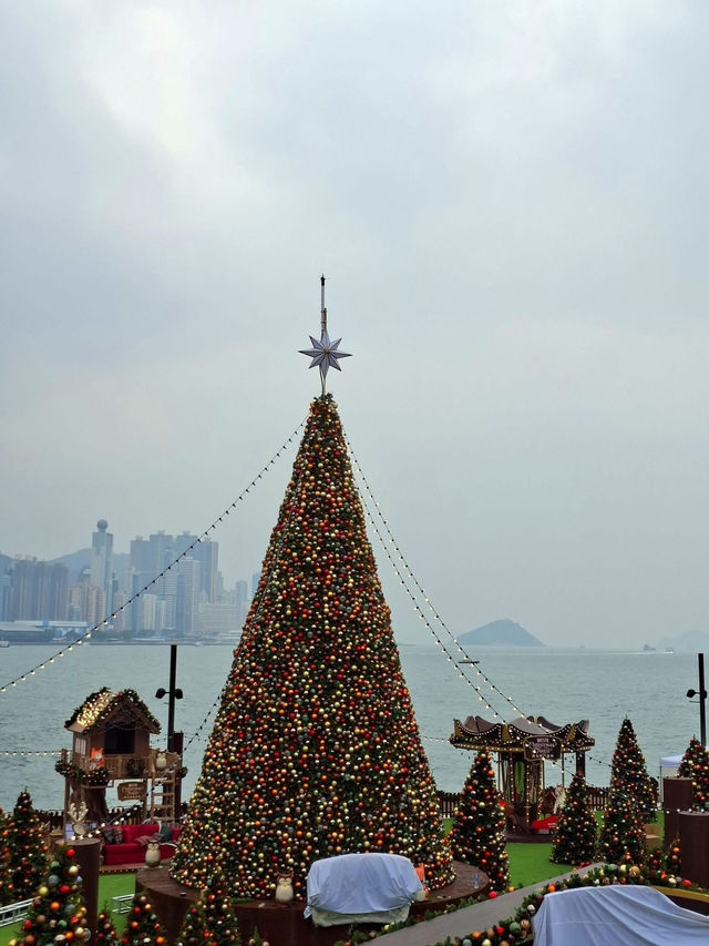 A Crystalline Dream in the Urban Heart: WestK Christmas Forest 2025 A Crystalline Dream in the Urban Heart: WestK Christmas Forest 2025