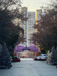 Park Magic Unveiled🌙