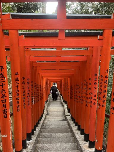 2026 Tokyo Attraction] Toyokawa Inari Betsuin Travel Guide
