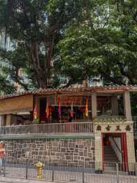 A Stroll Through the Streets of North Point 