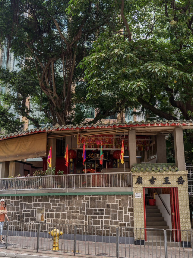 A Stroll Through the Streets of North Point 