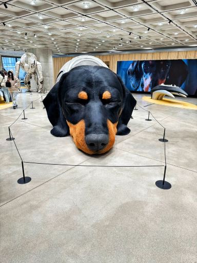 ソウル・聖水洞の巨大犬オブジェが話題のフォトスポット | Trip.com ソウル