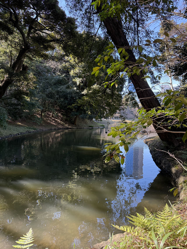 Walking Through Edo-Era Elegance in Tokyo