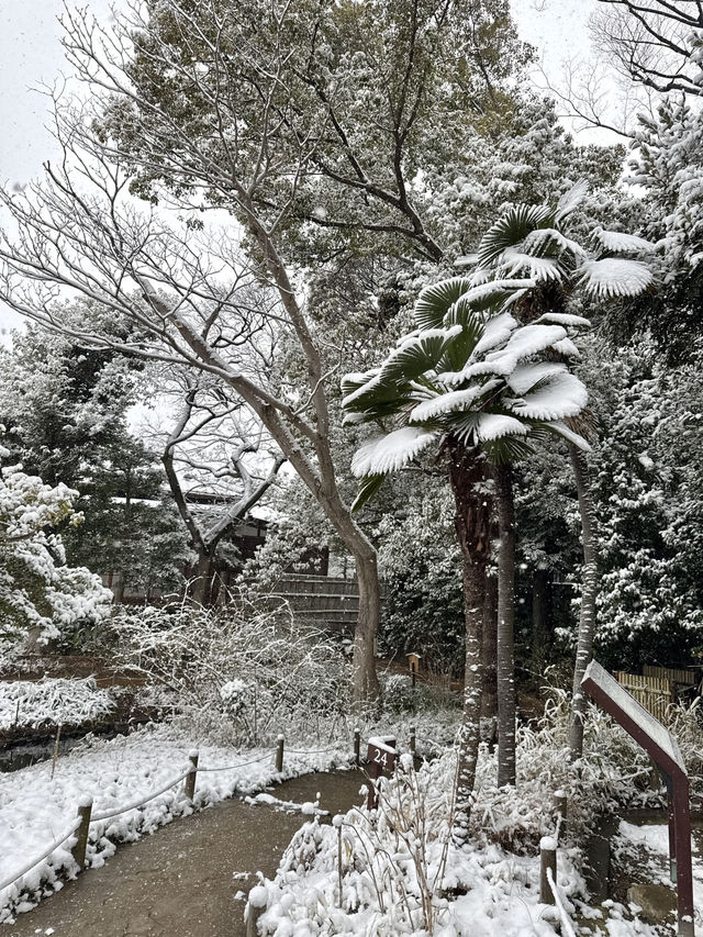 Traditional Garden Resilient in Deep Snow